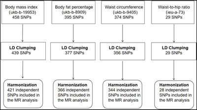 Causal association between adiposity and hemorrhoids: a Mendelian randomization study